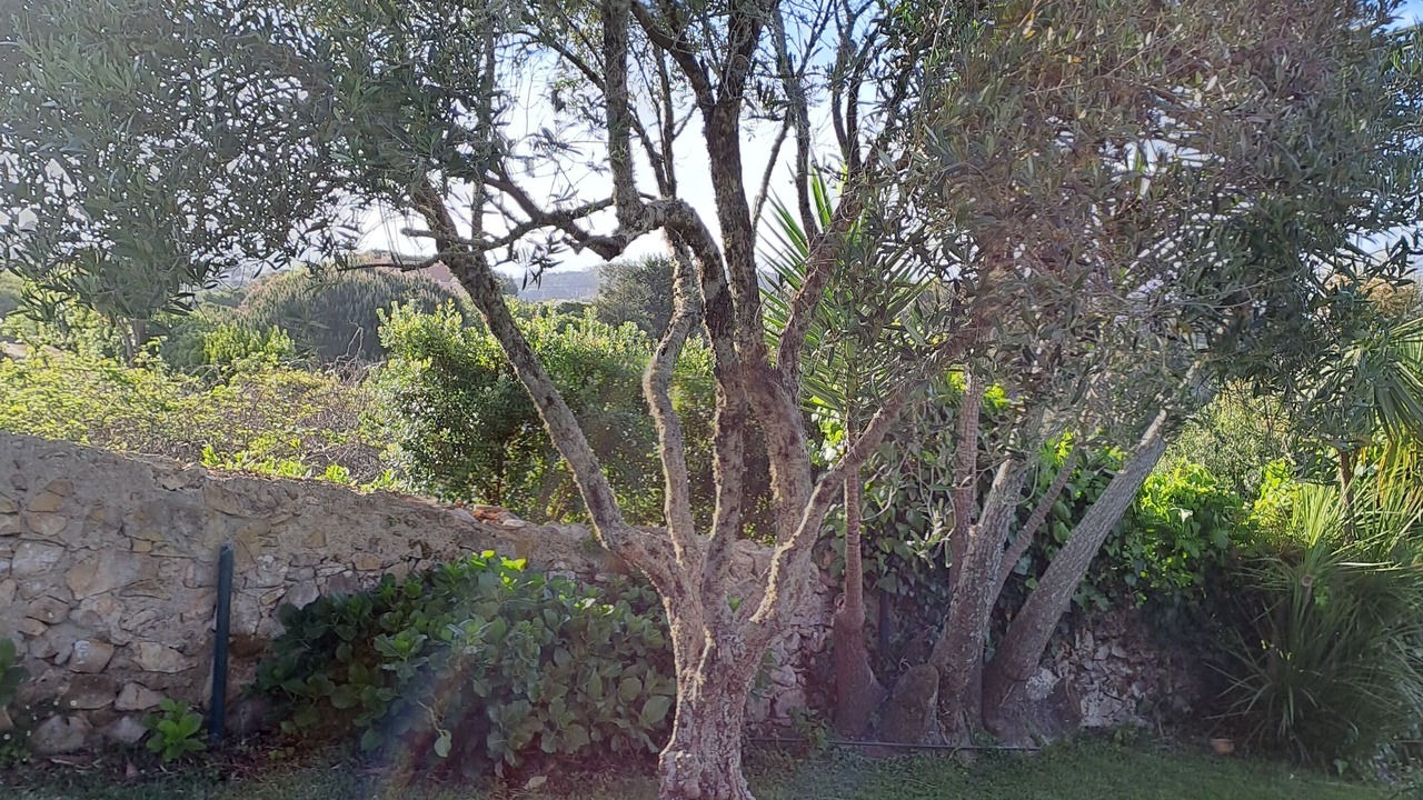 Photo of Outdoor in Monserrate