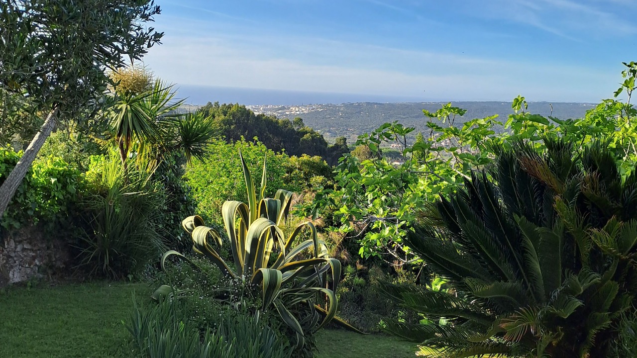 Photo of Outdoor in Monserrate