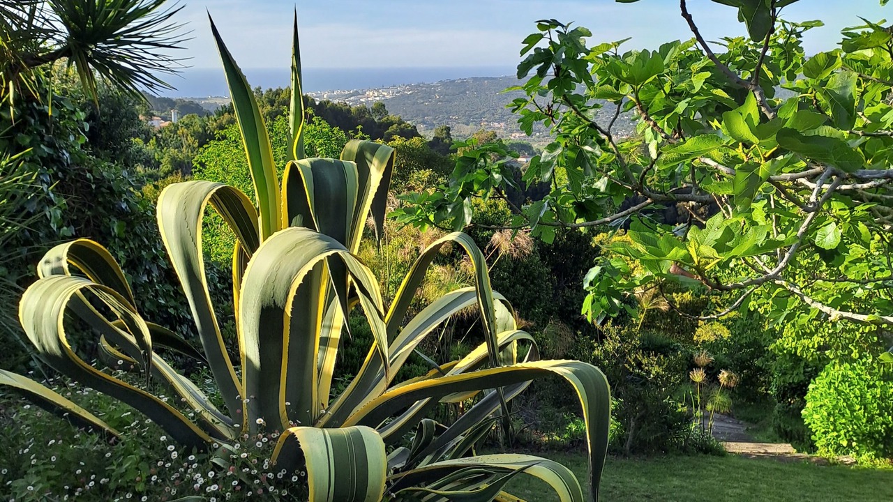 Photo of Outdoor in Monserrate