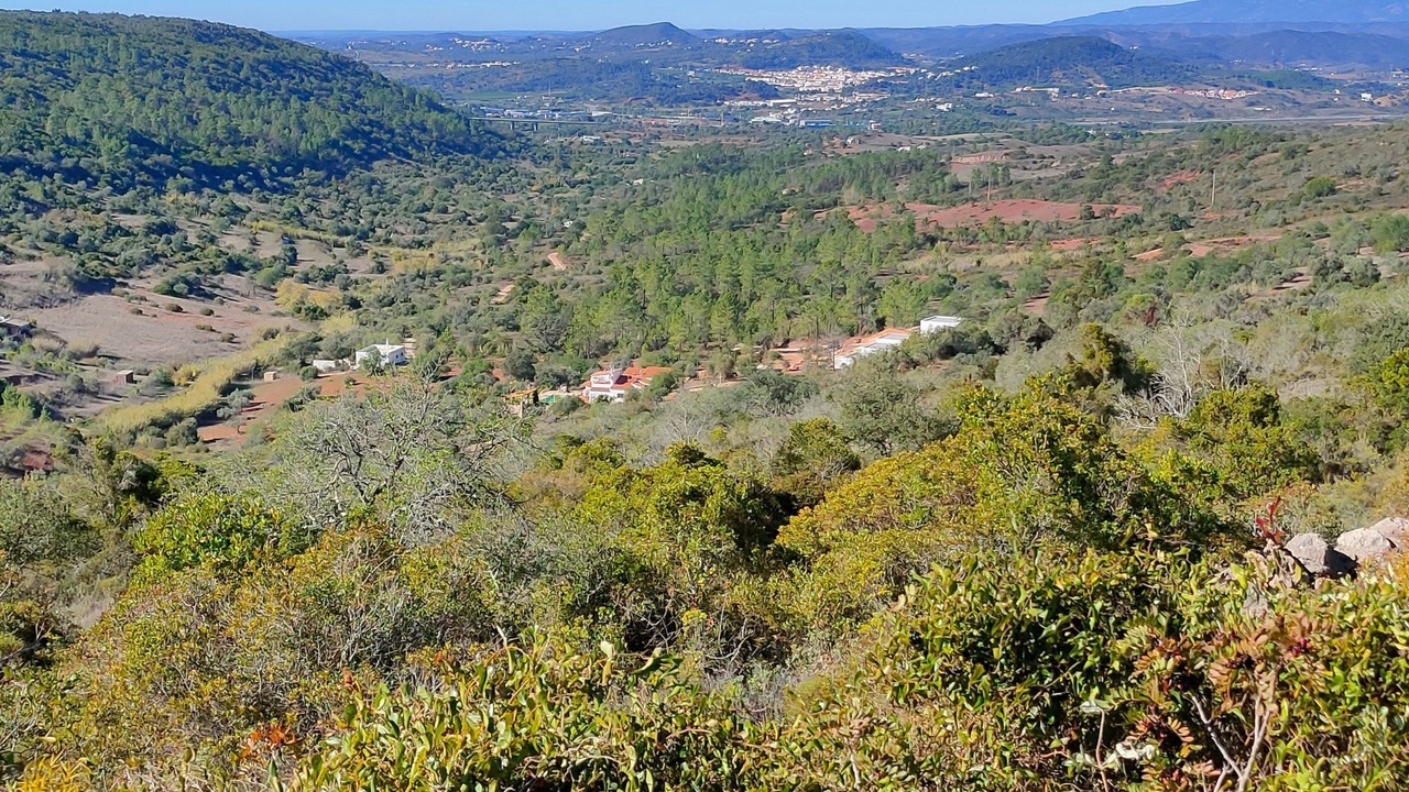 Photo of Others in Silves