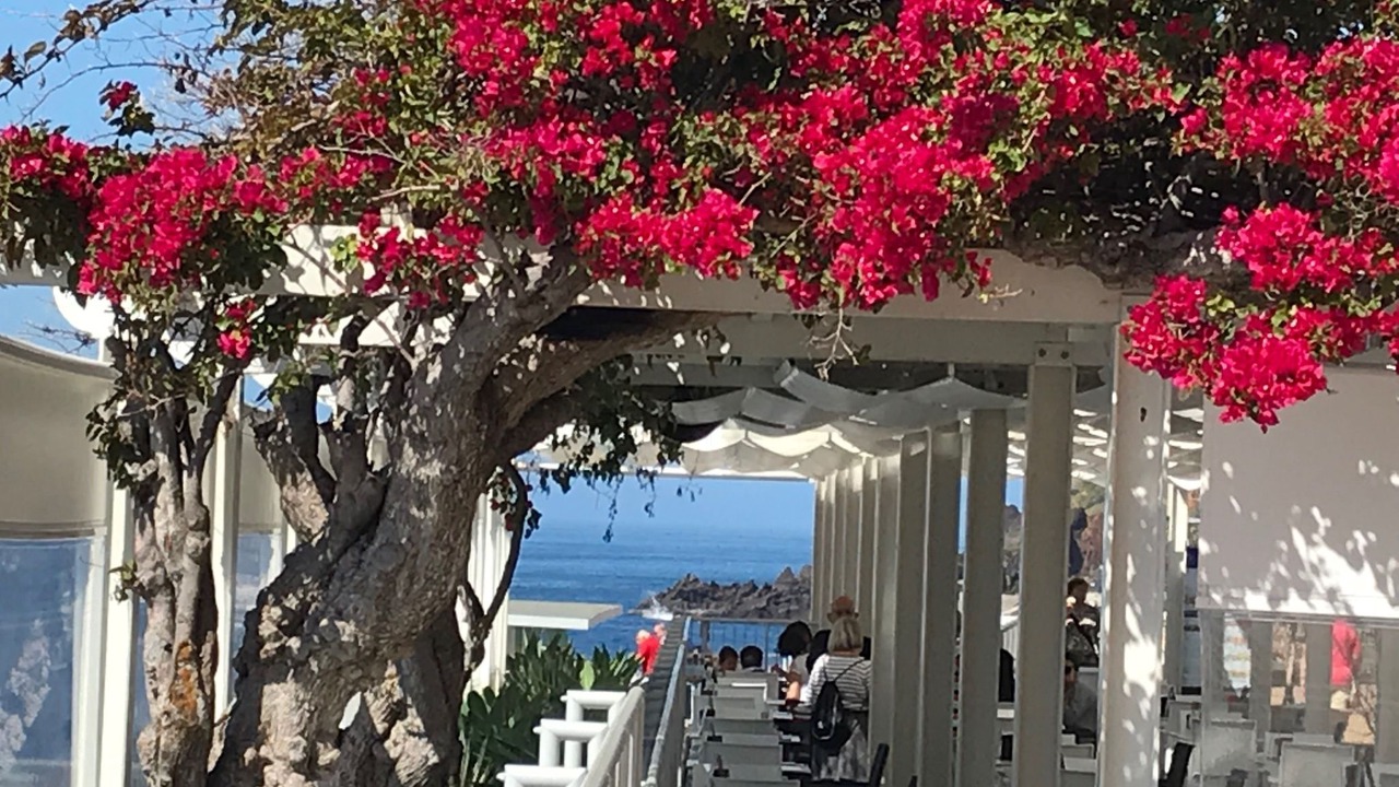 Photo of Outdoor in Sao Martinho