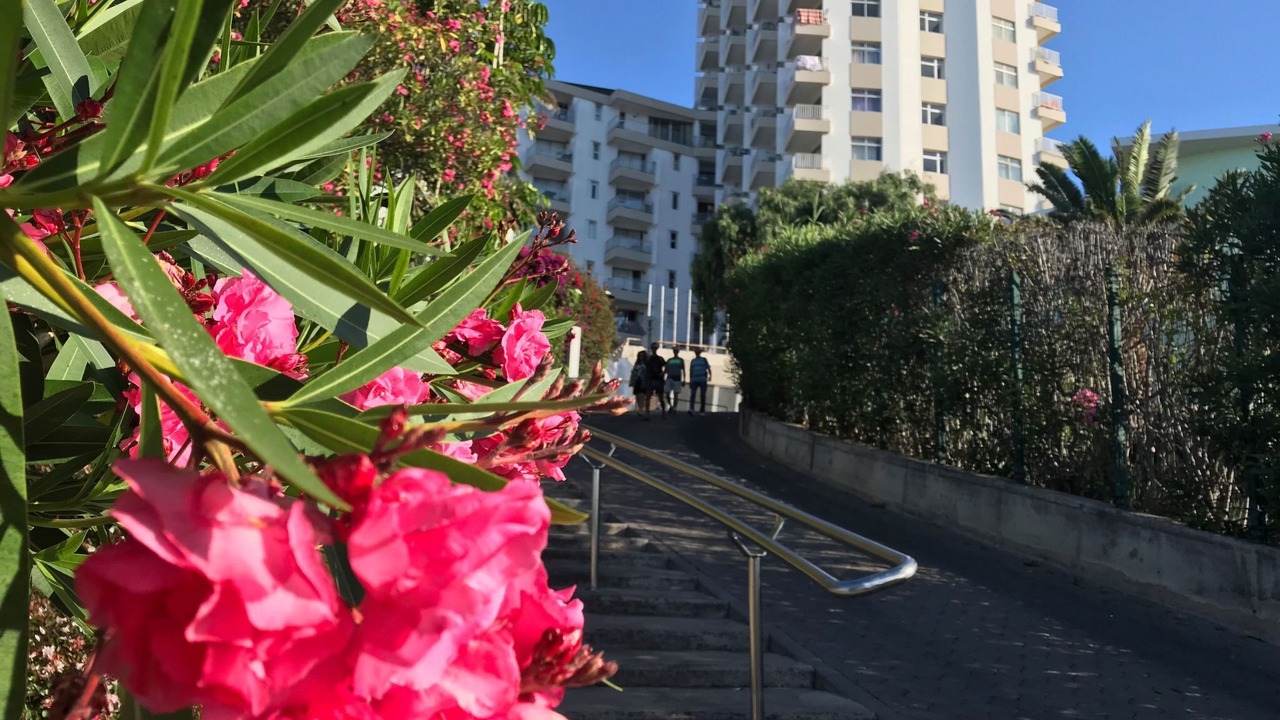 Photo of Outdoor in Sao Martinho
