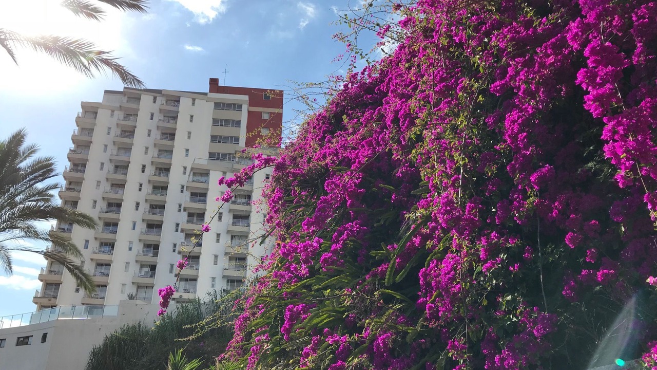 Photo of Outdoor in Sao Martinho