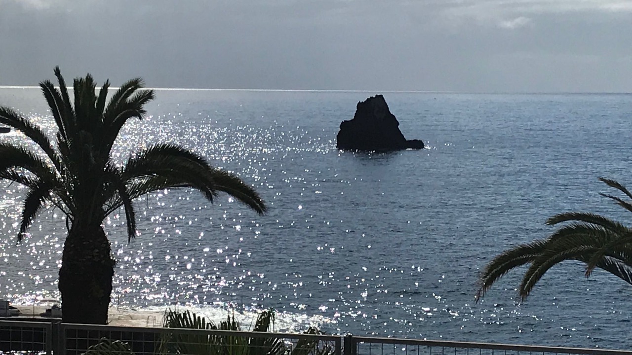 Photo of Others in Sao Martinho