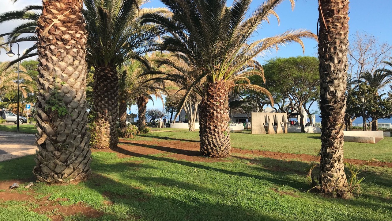 Photo of Outdoor in Sao Martinho