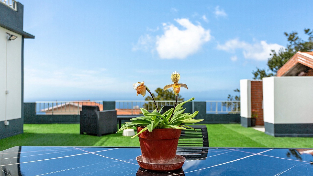 Photo of Outdoor in Ponta do Pargo