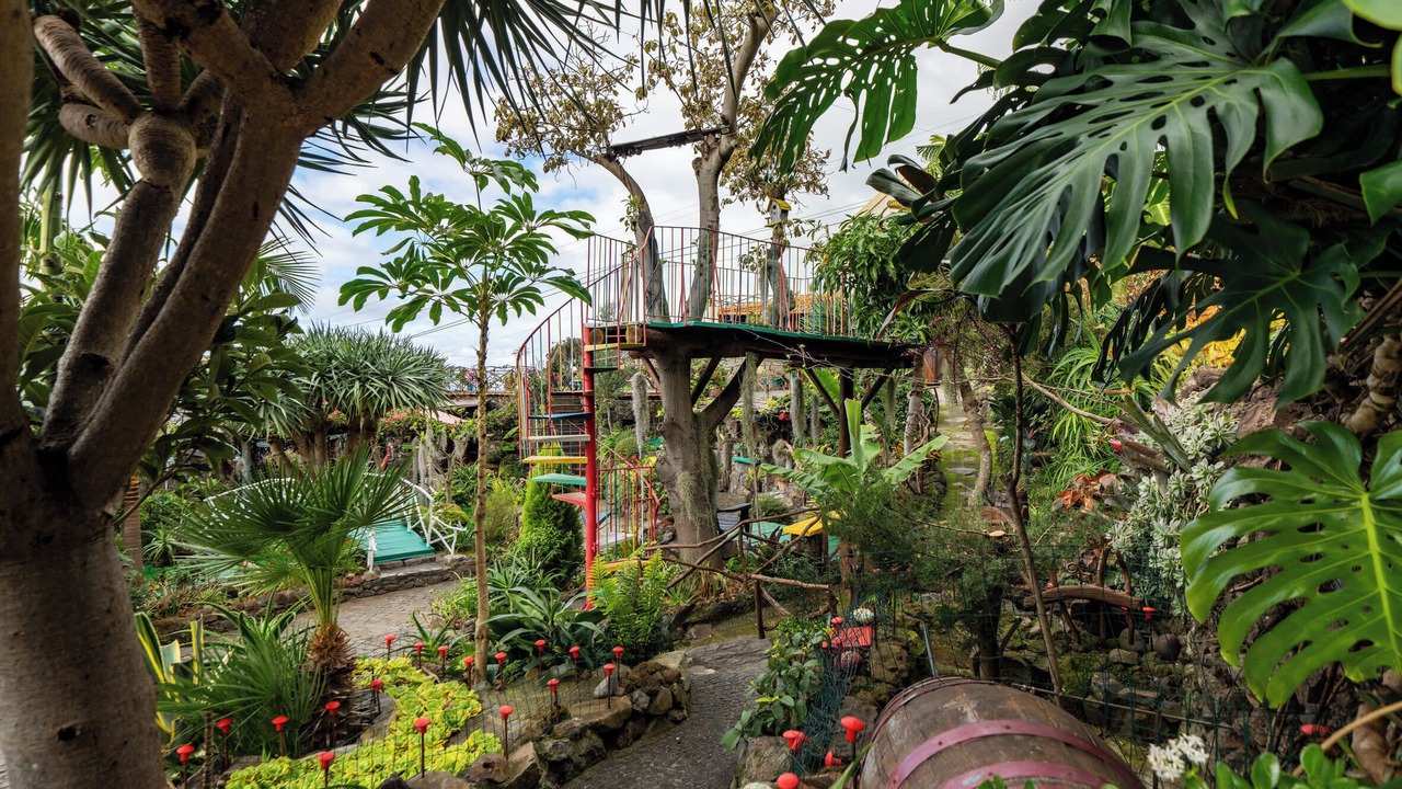 Photo of Outdoor in Arco da Calheta