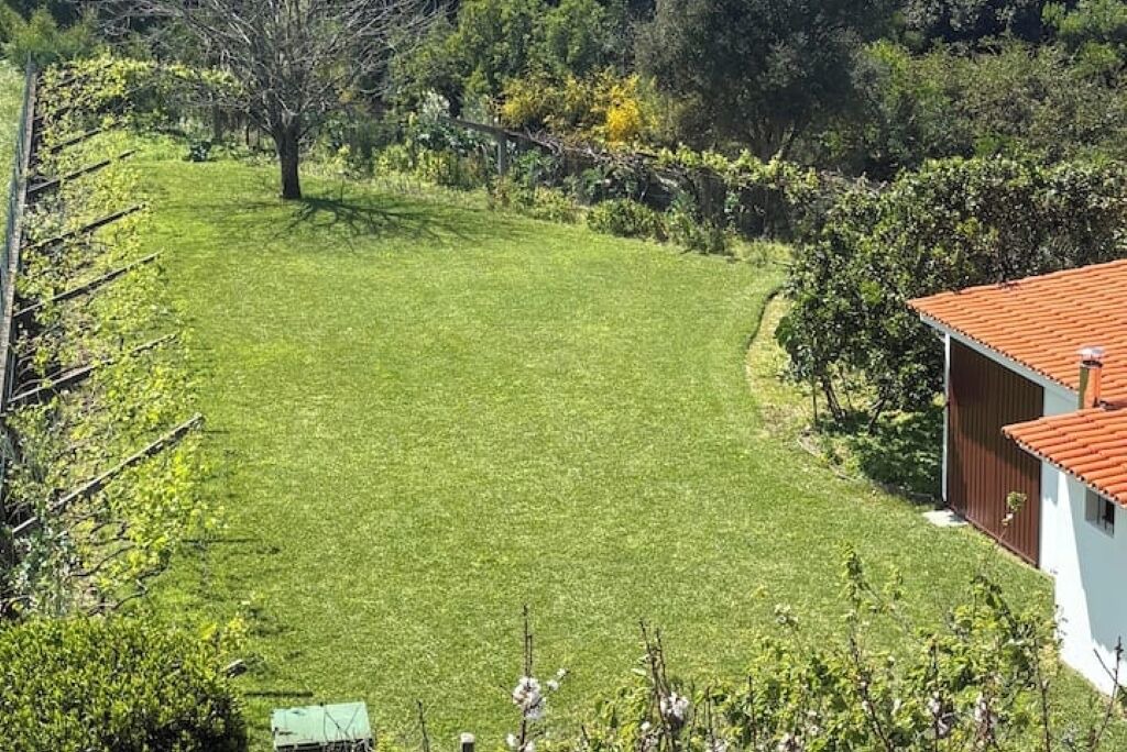 Photo of Outdoor in Caminha
