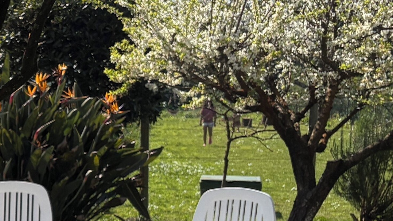 Photo of Outdoor in Caminha