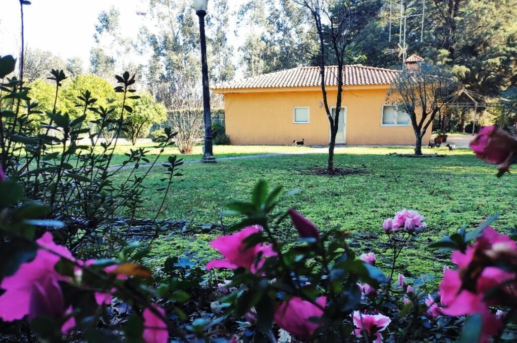 Photo of Outdoor in Nespereira