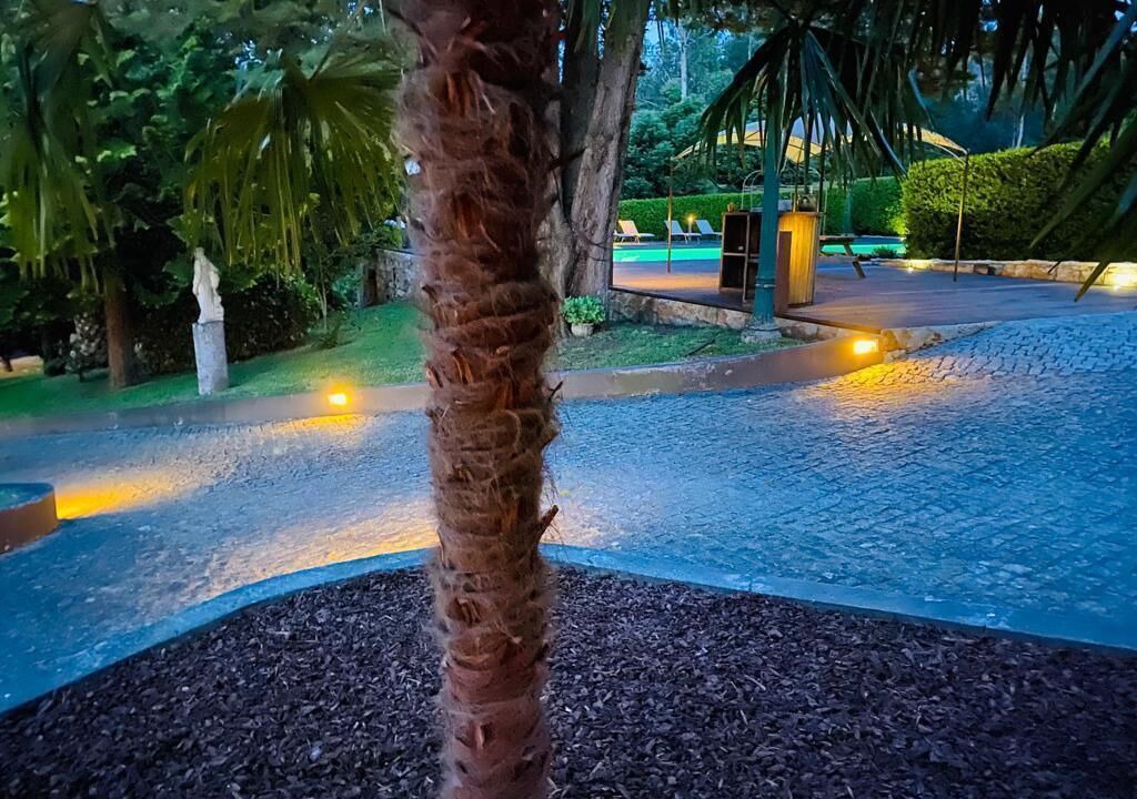 Photo of Outdoor in Nespereira