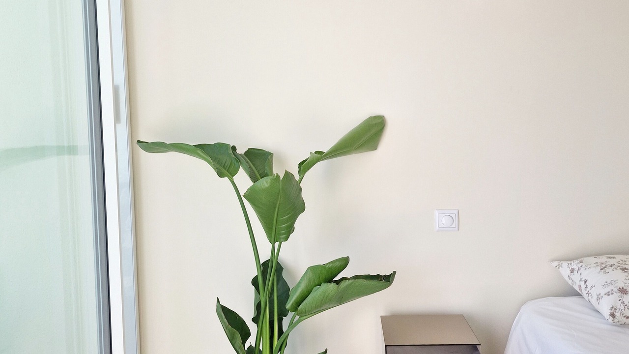 Photo of Bedroom in Porto de Mos