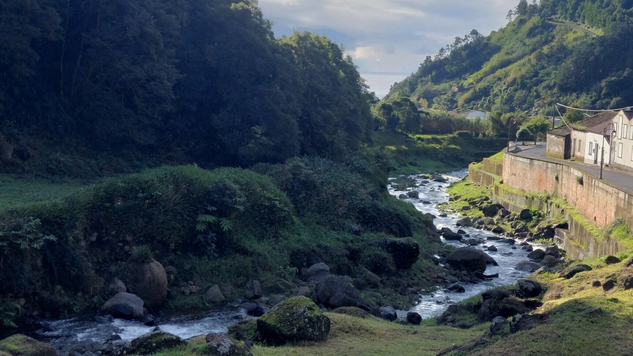 Photo of Others in Faial Da Terra