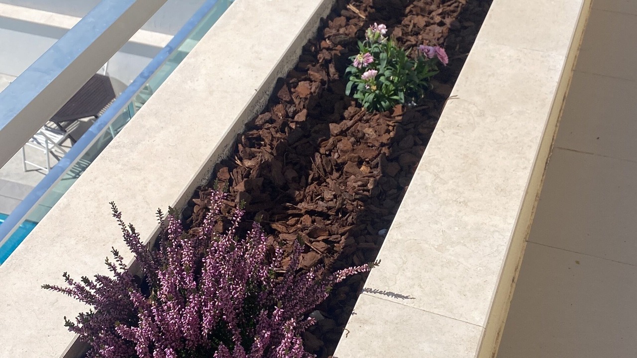 Photo of Outdoor in Peniche
