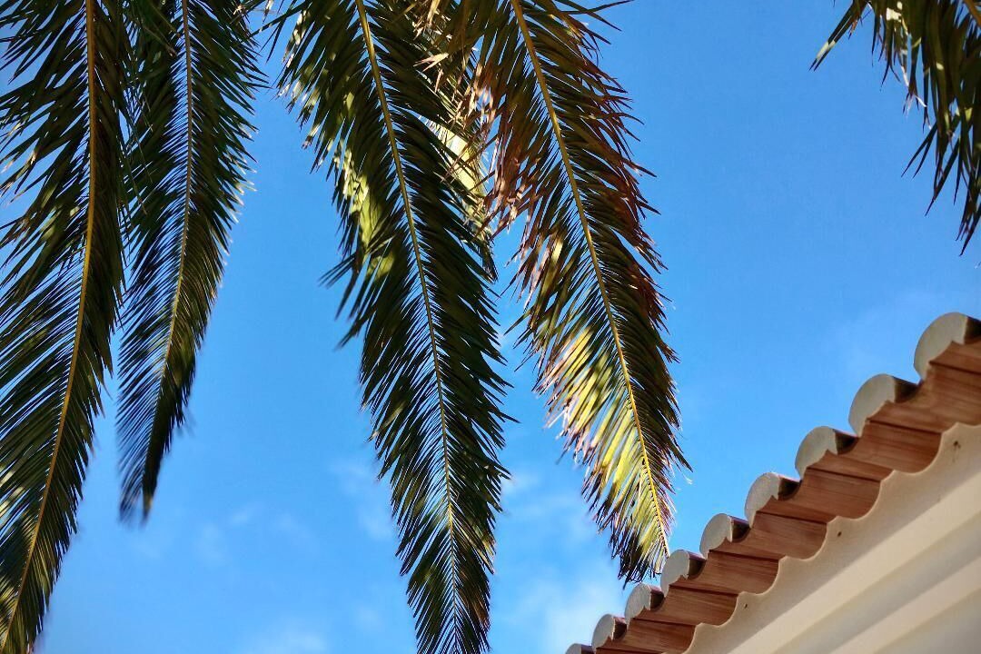 Photo of Outdoor in Budens