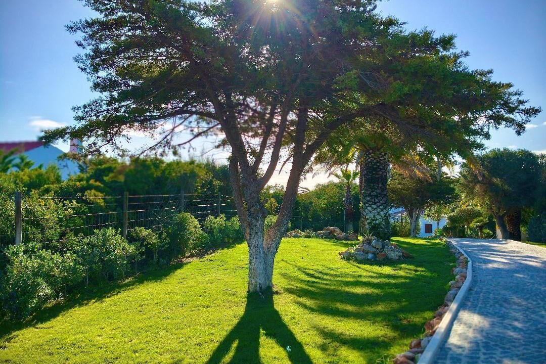 Photo of Outdoor in Budens