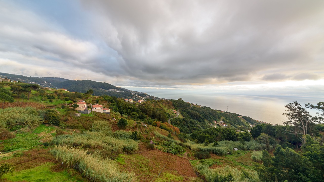 Photo of Others in Ribeira Brava