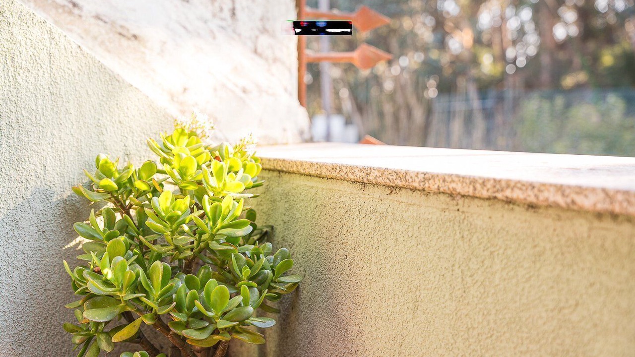 Photo of Outdoor in Campanha