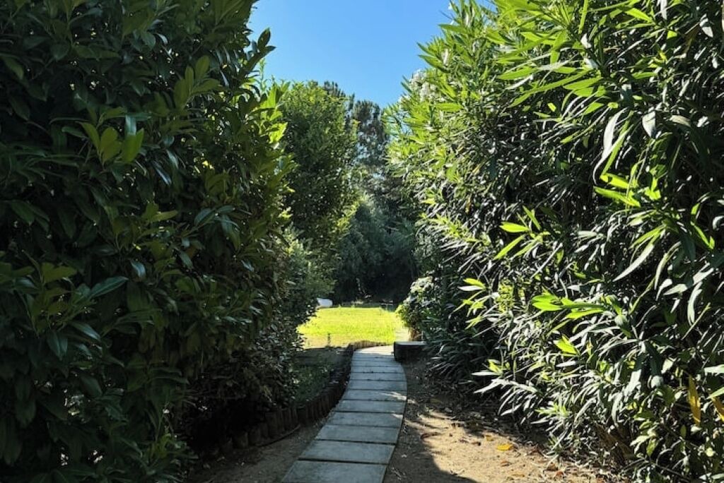 Photo of Outdoor in Santarem