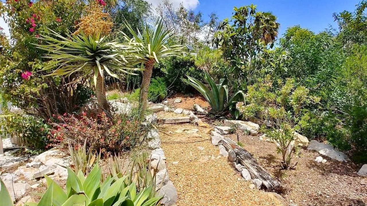 Photo of Outdoor in Olhao
