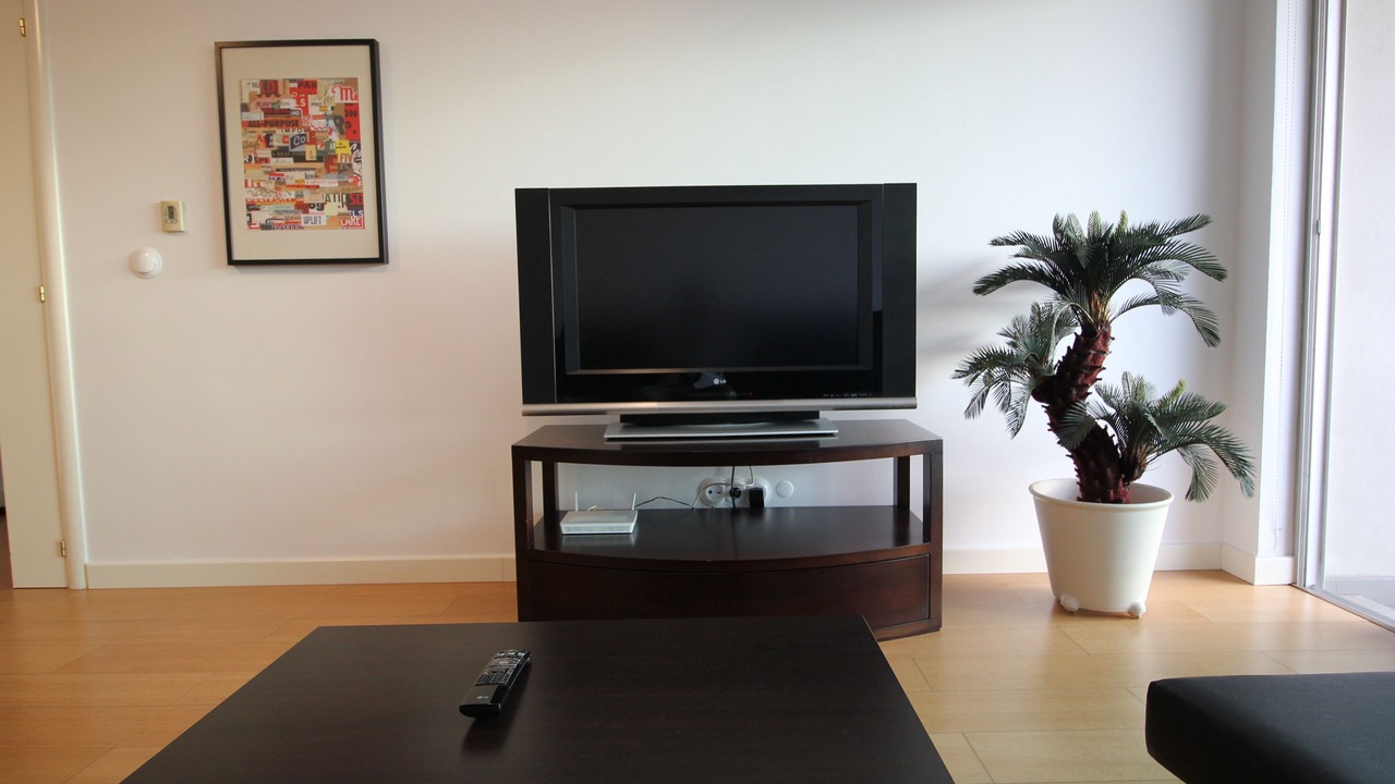 Photo of Livingroom in Sete Rios