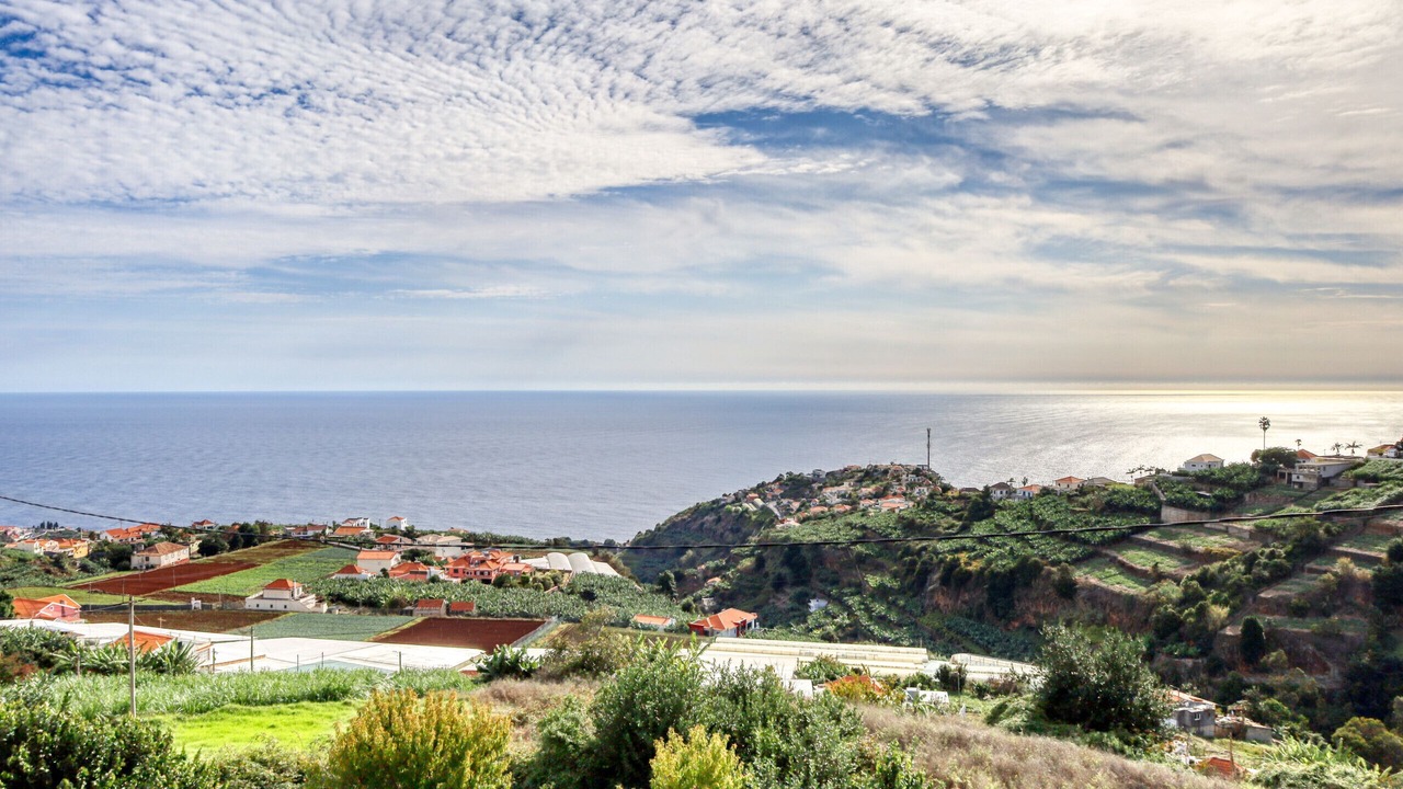 Photo of Others in Canhas