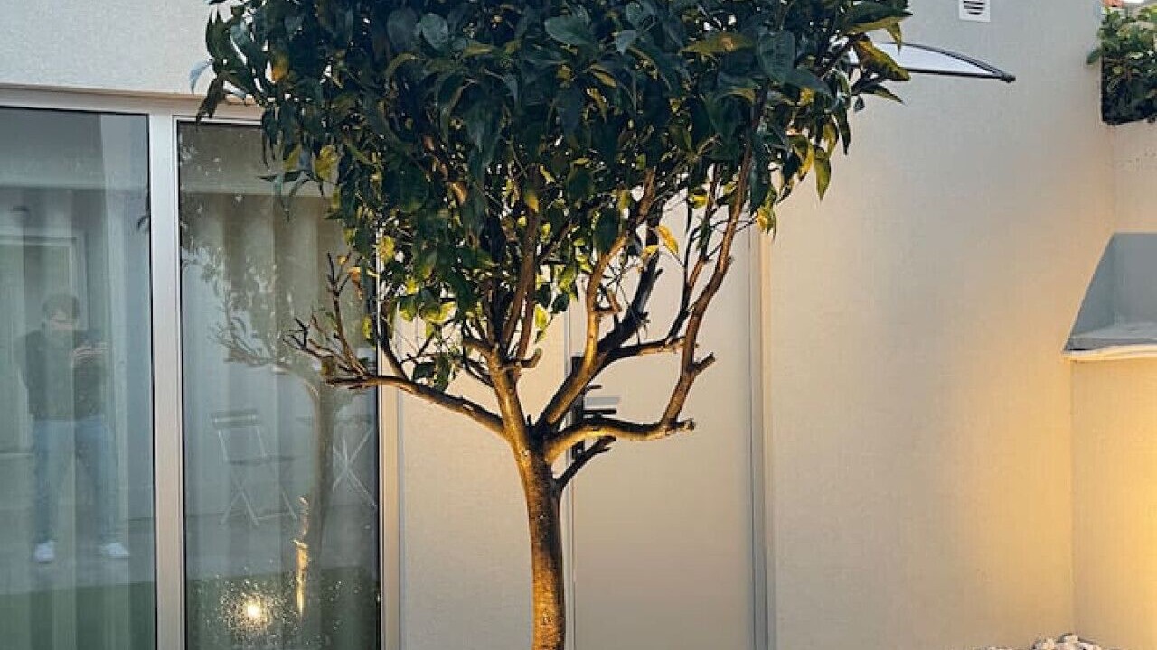Photo of Outdoor in Vilarinha