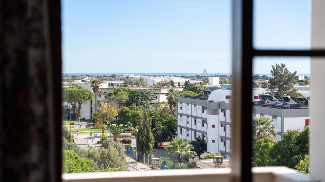Photo of Others in Faro