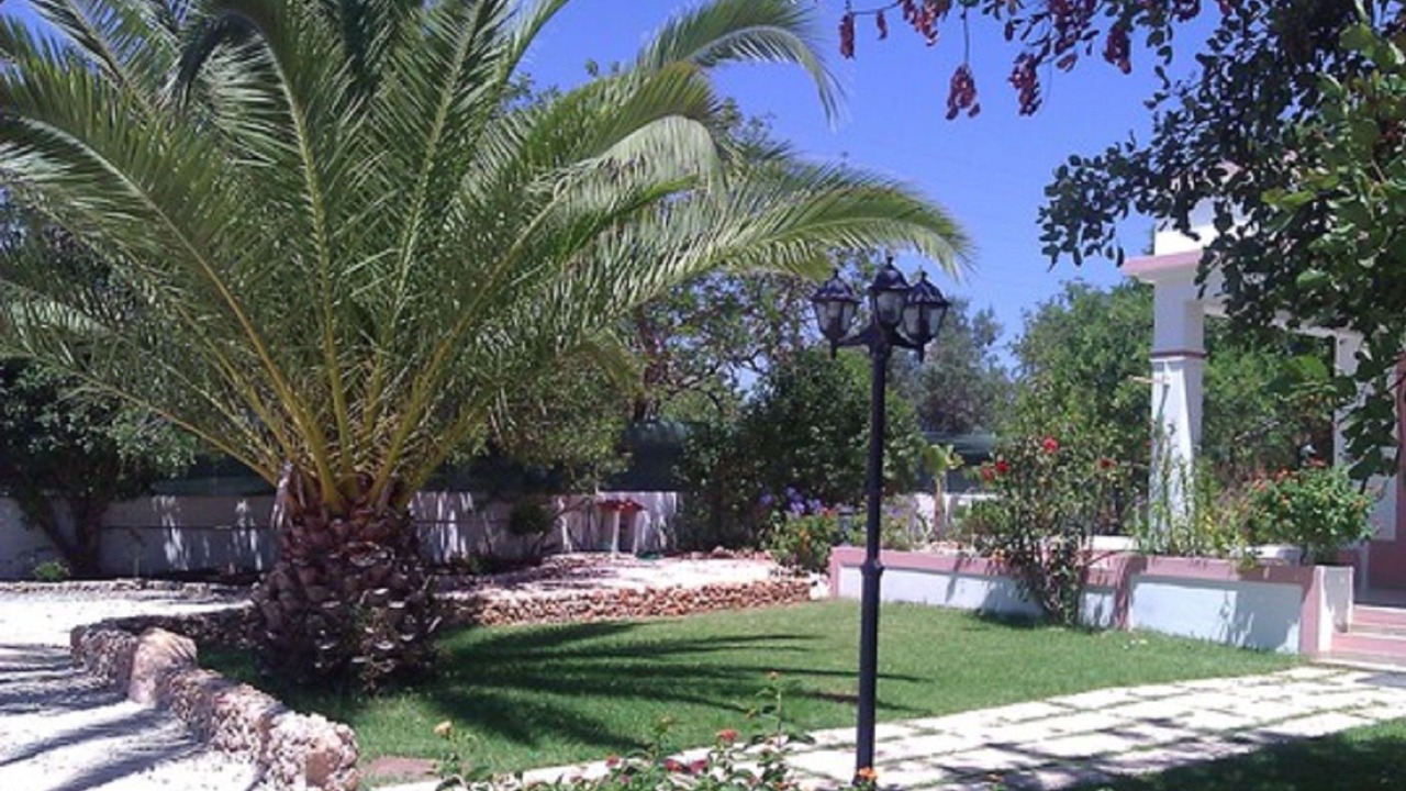 Photo of Others in Albufeira