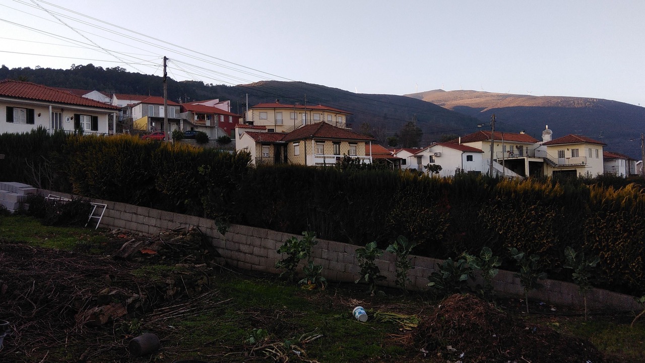 Photo of Others in Vila Marim