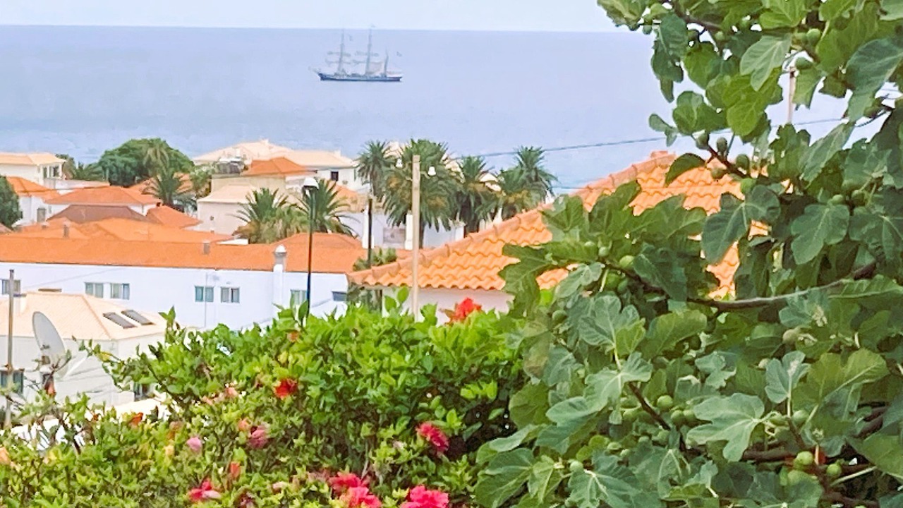 Photo of Others in Vila Baleira