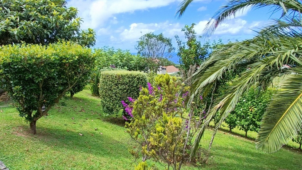 Photo of Others in Nordestinho