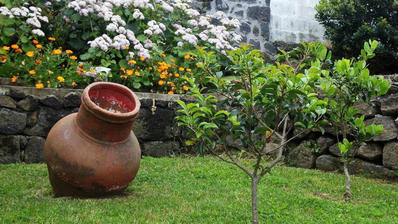 Photo of Others in Nordestinho