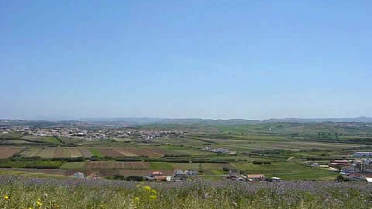 Photo of Others in Sao Pedro da Cadeira