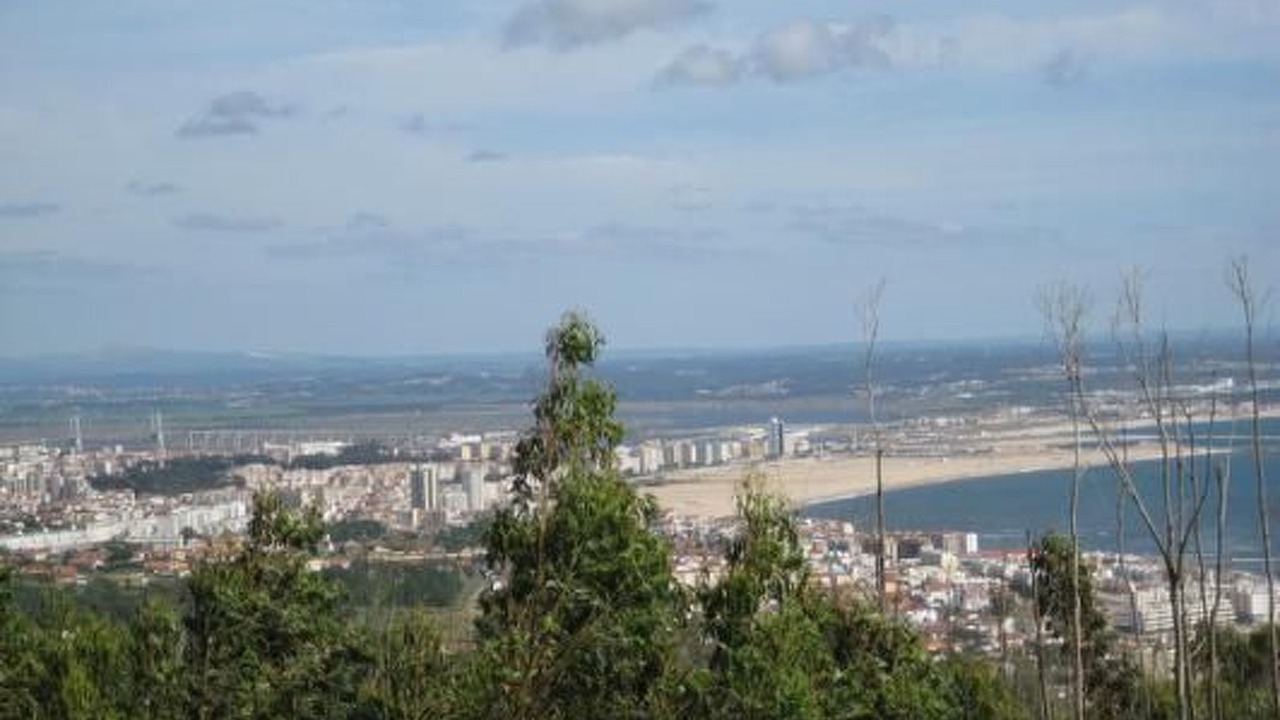 Photo of Others in Buarcos