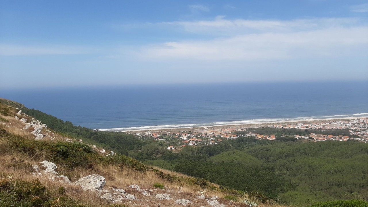 Photo of Others in Buarcos