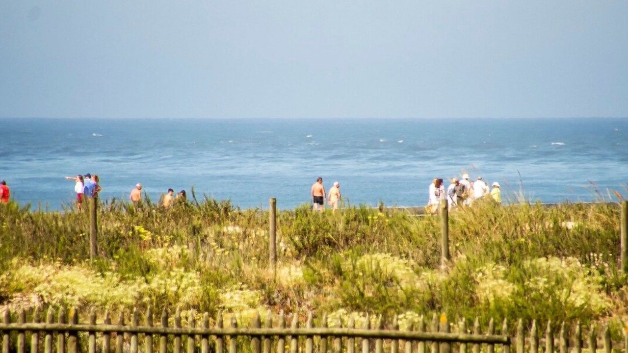 Photo of Others in Barra