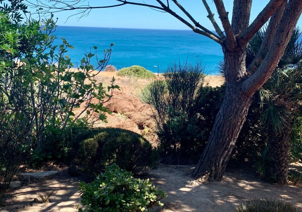 Photo of Others in Praia da Luz