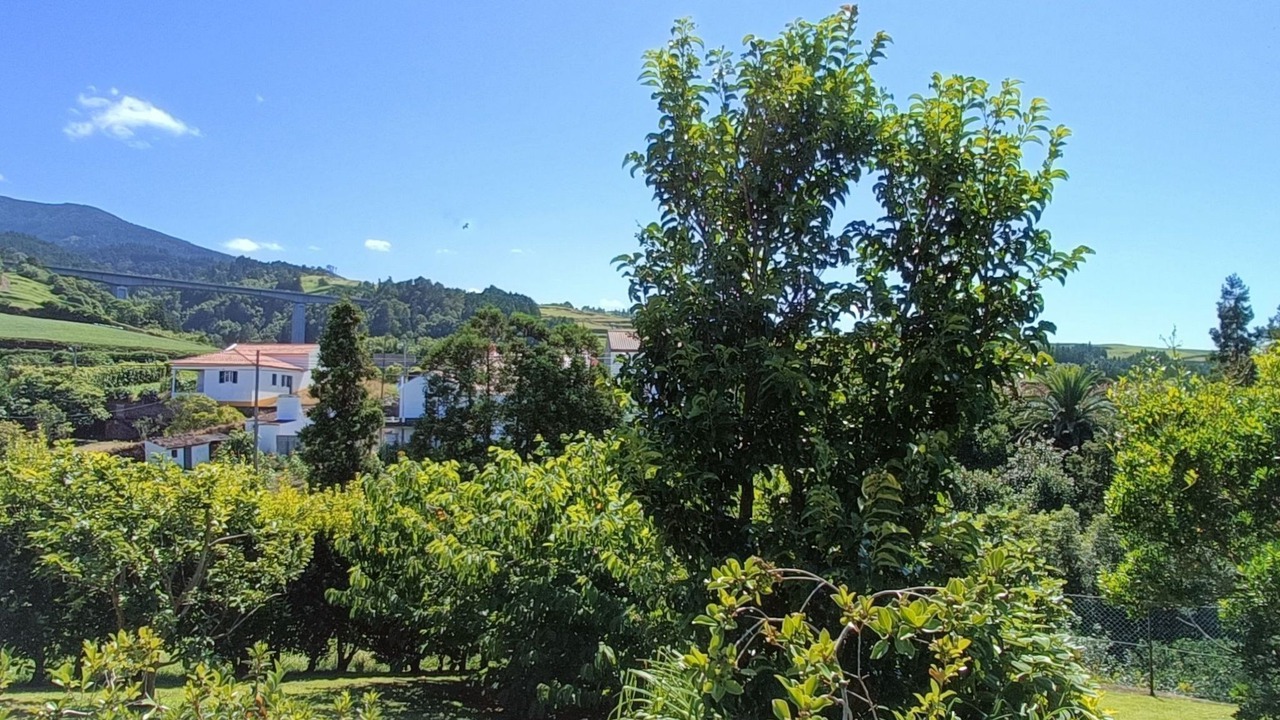 Photo of Others in Nordestinho