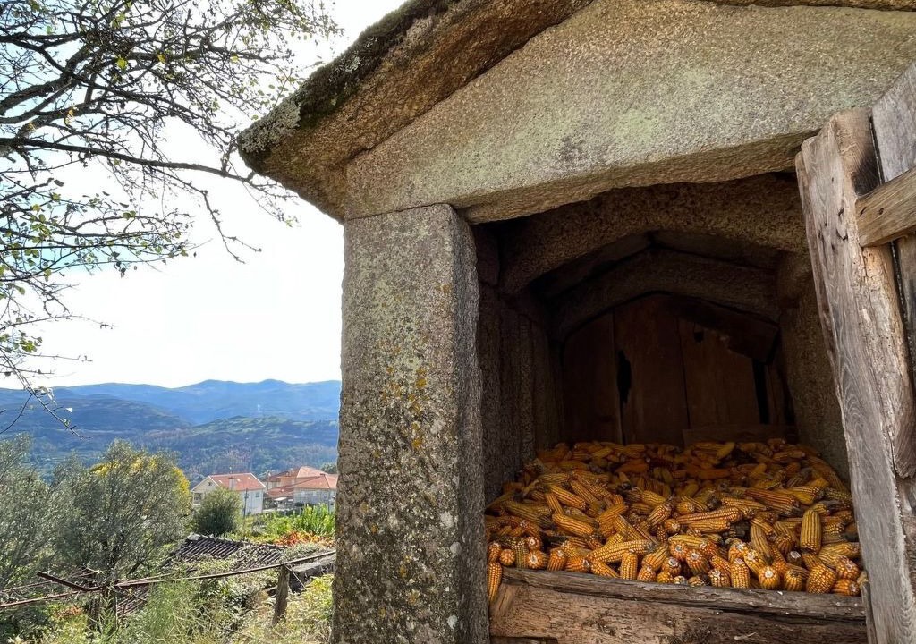 Photo of Others in Arcos de Valdevez
