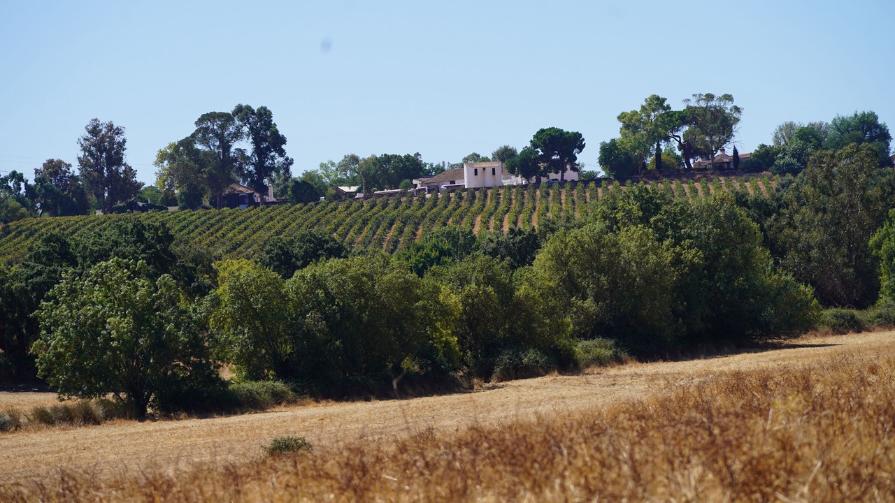 Photo of Others in Estremoz
