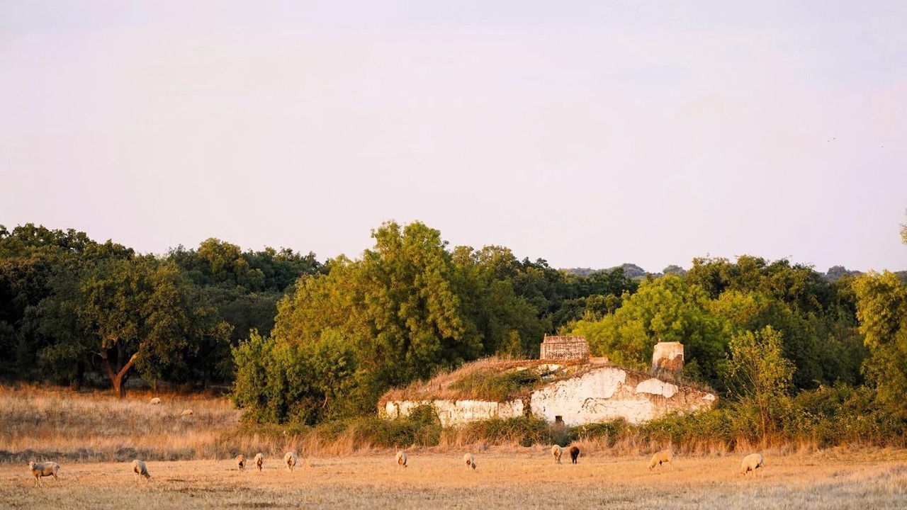 Photo of Others in Estremoz