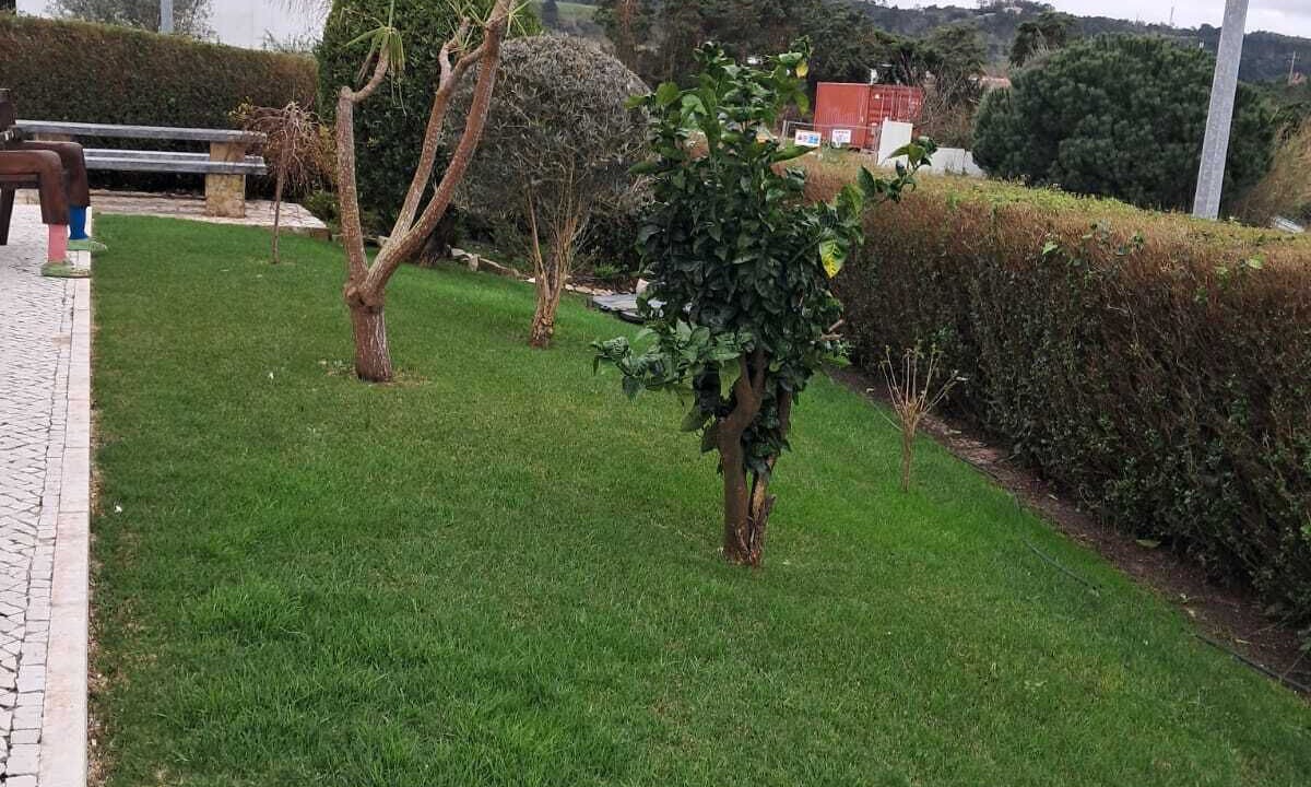 Photo of Outdoor in Obidos