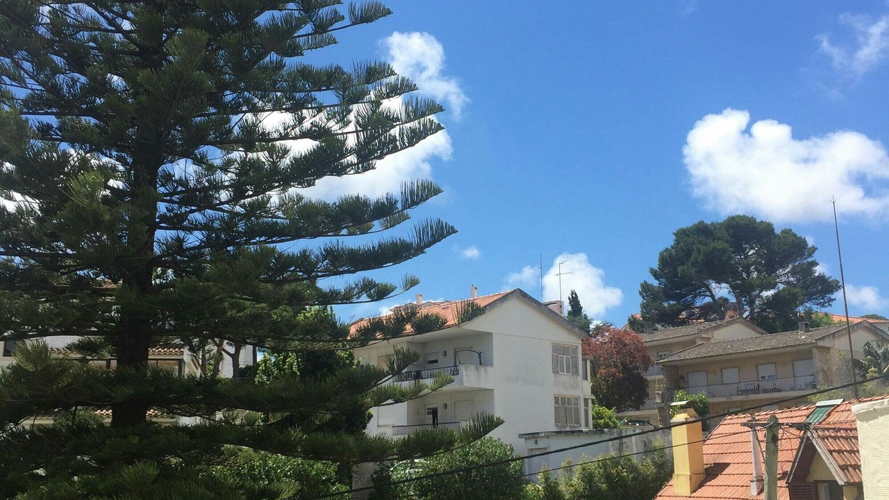 Photo of Outdoor in Estoril