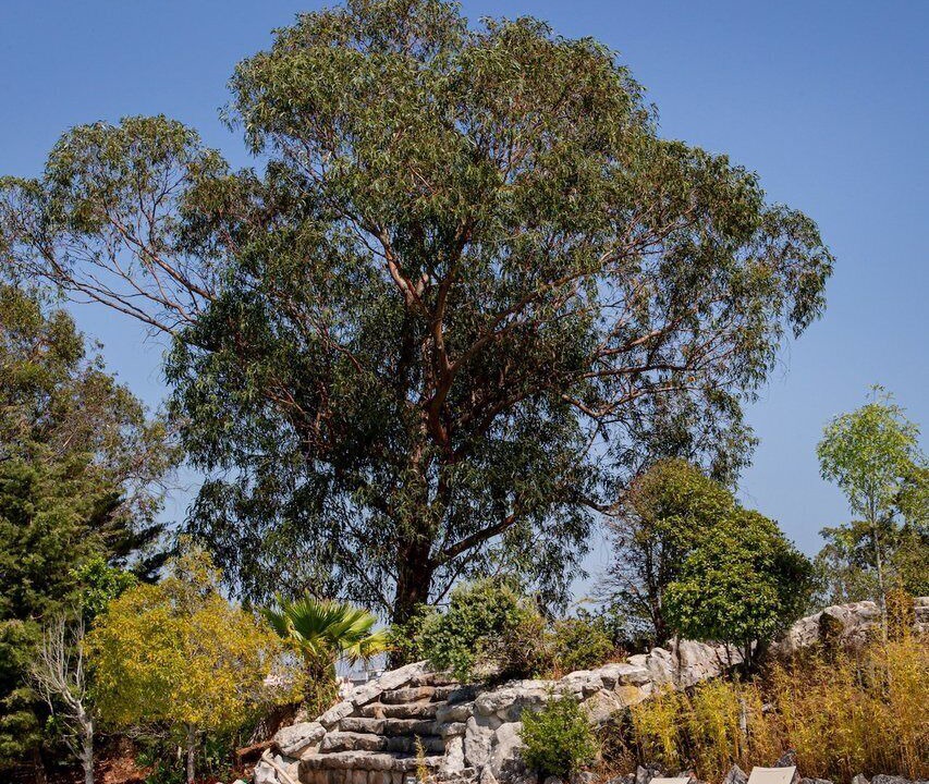 Photo of Outdoor in Sao Juliao