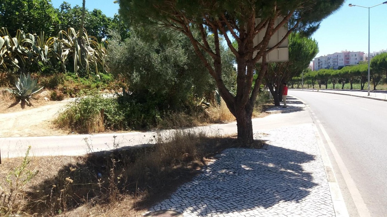 Photo of Outdoor in Funchal