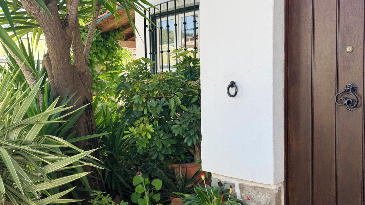 Photo of Outdoor in Charneca