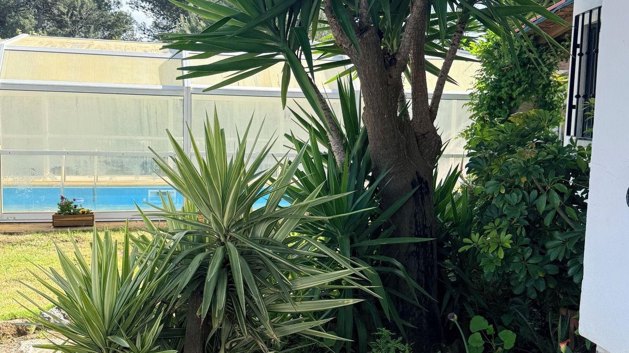 Photo of Outdoor in Charneca