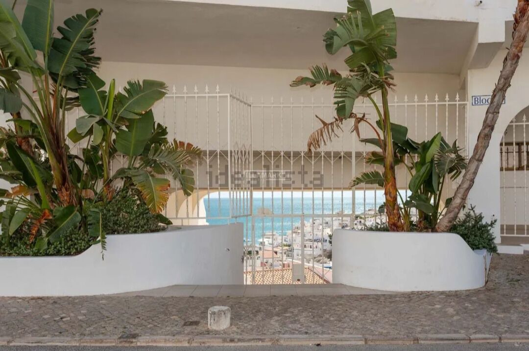 Photo of Outdoor in Calicos