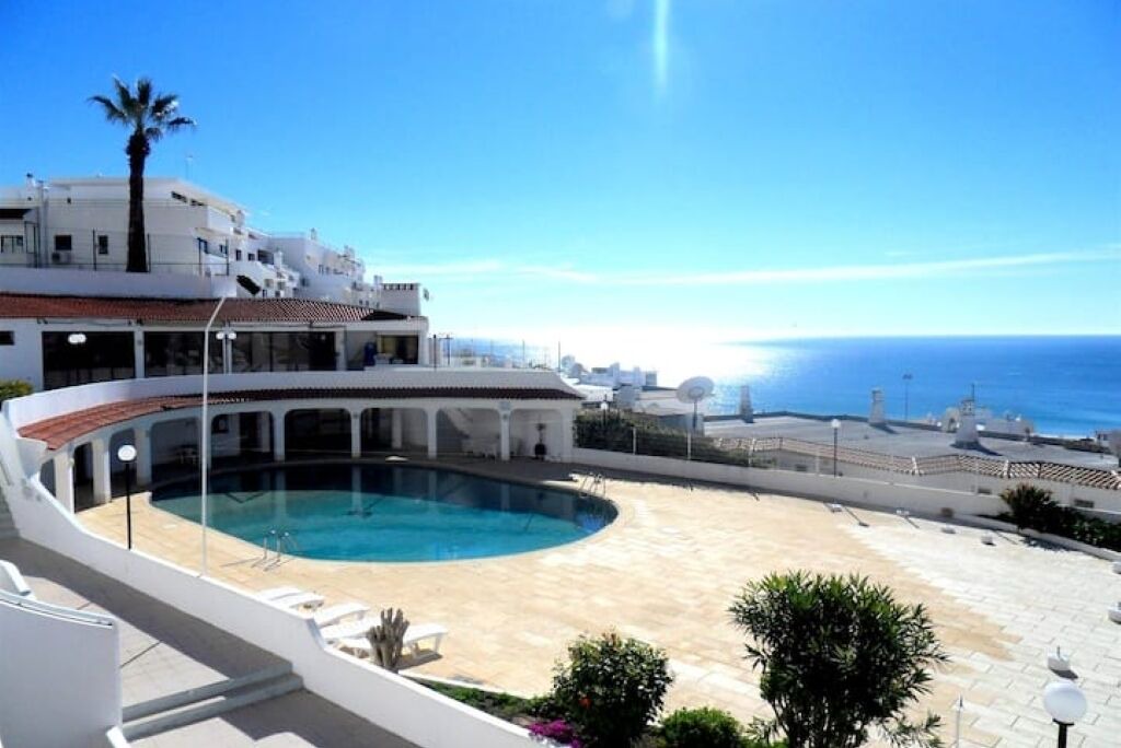 Photo of Outdoor in Calicos